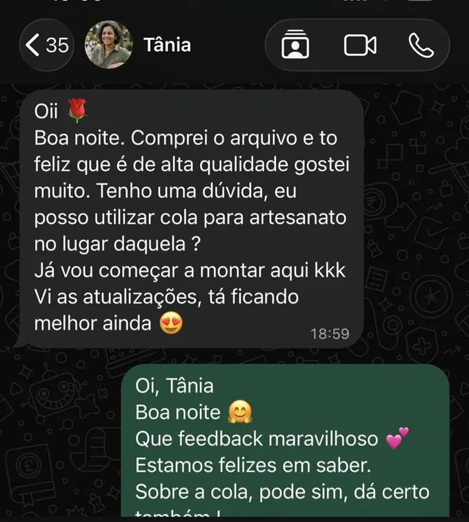 Captura de conversa: cliente elogia a alta qualidade do arquivo e pergunta se pode usar cola de artesanato